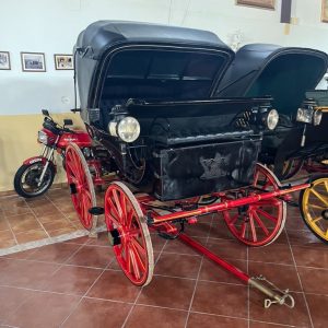 CARRUAJE 1