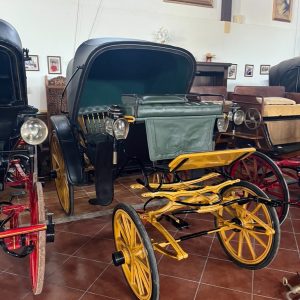 CARRUAJE 2