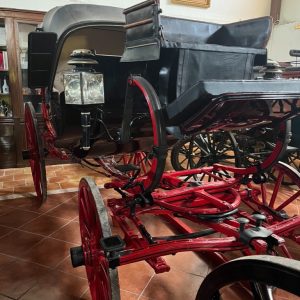 CARRUAJE 3