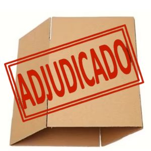 Lote de Cajas de Cartón Dobles